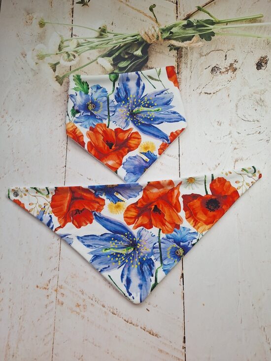 Lace- siekalu ķērājs