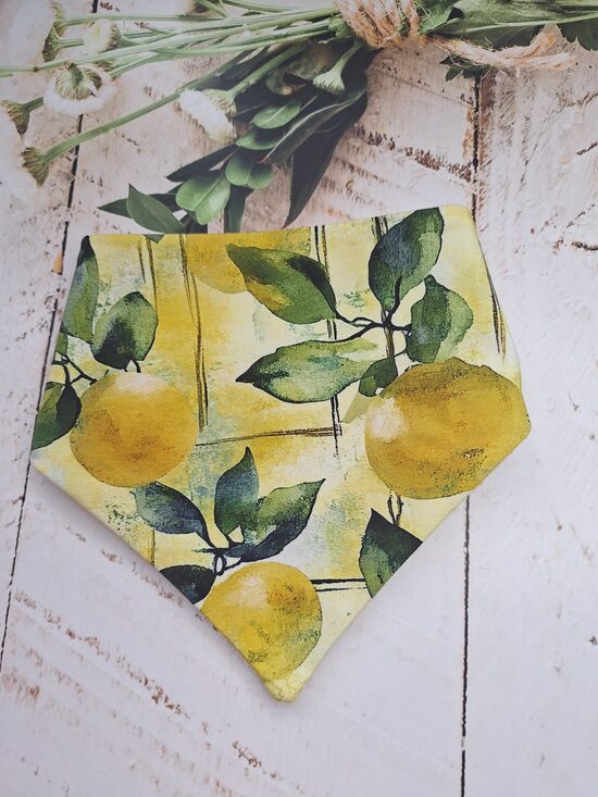 Lace- siekalu ķērājs